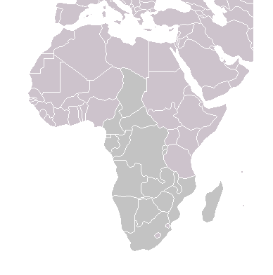 آفریقا2